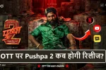 Pushpa 2 OTT Release Date Hindi Netflix (ओटीटी पर पुष्पा 2 कब और कहां होगी रिलीज?)
