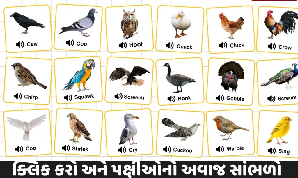 Bird Voice Technology