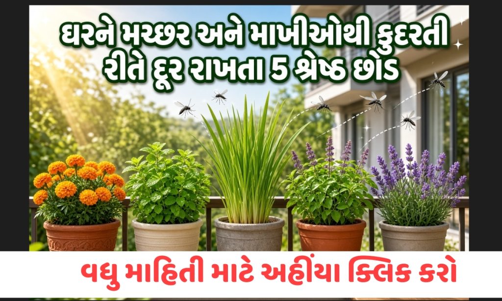 Keep Mosquitoes and Flies Away